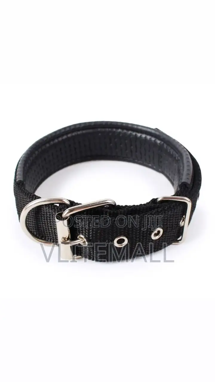 Dog Collar Size 2.5cm X 58cm