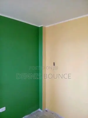 Professional Painters