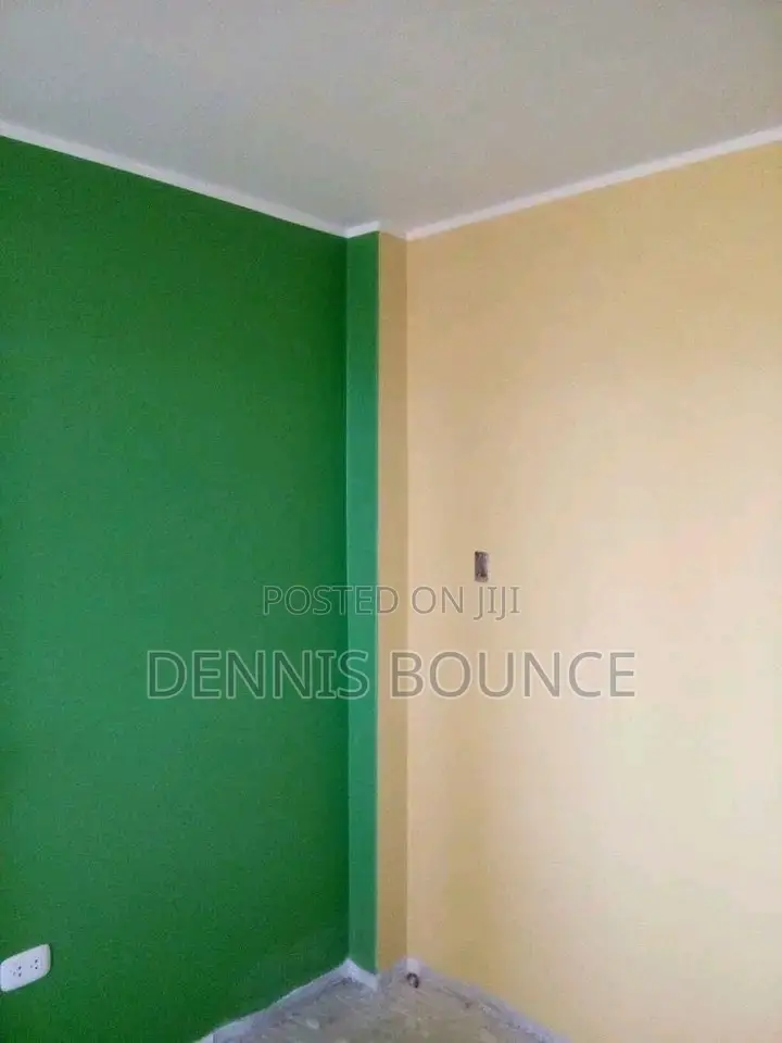 Professional Painters