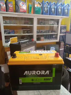 17 Plates Aurora Car Battery