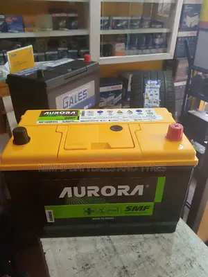 17 Plates Aurora Car Battery