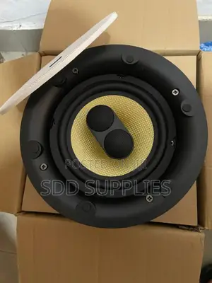 High Quality 6.5 Inch 100watts Dual Passive Ceiling Speaker
