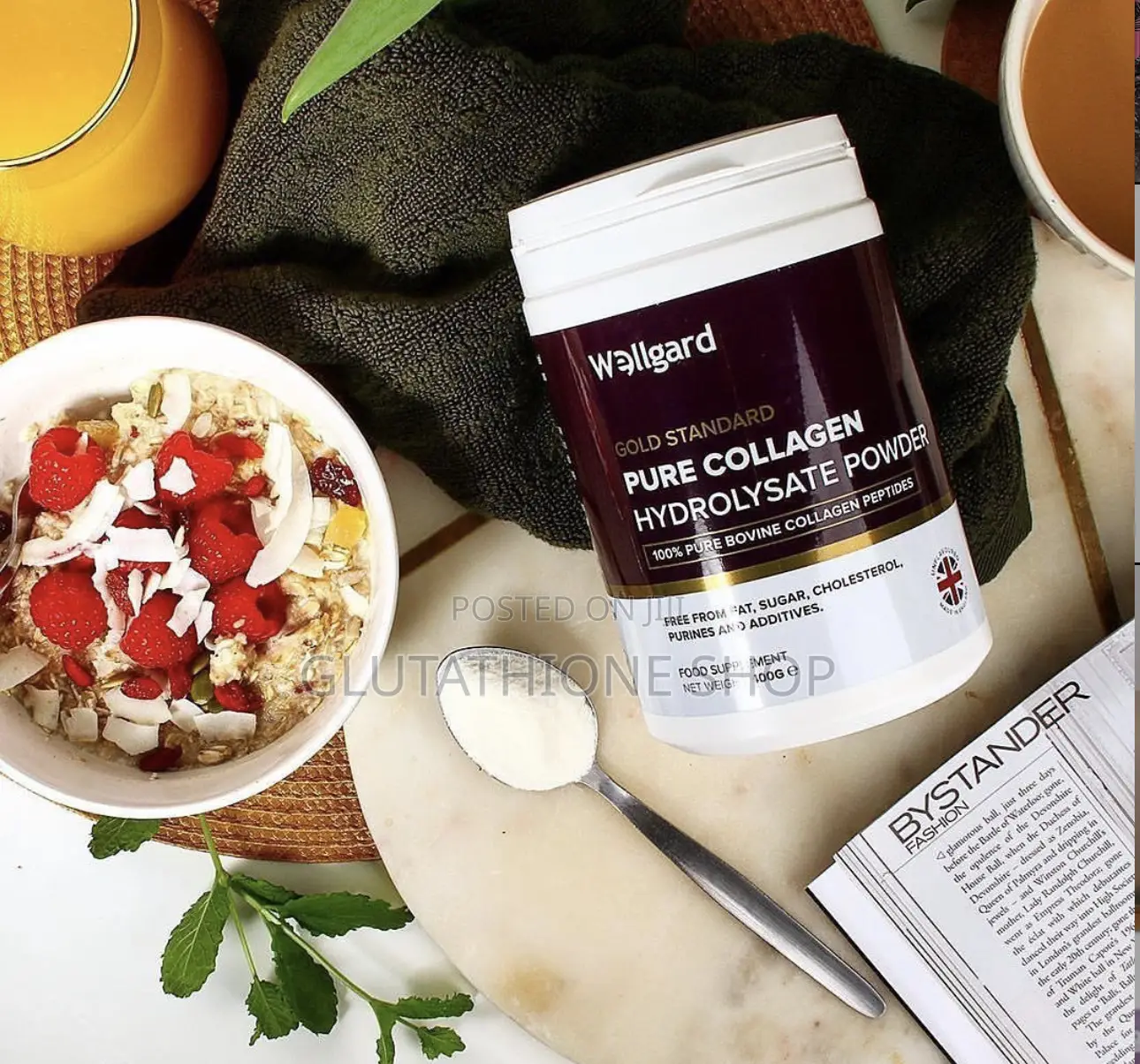 Wellgard Pure Collagen Powder