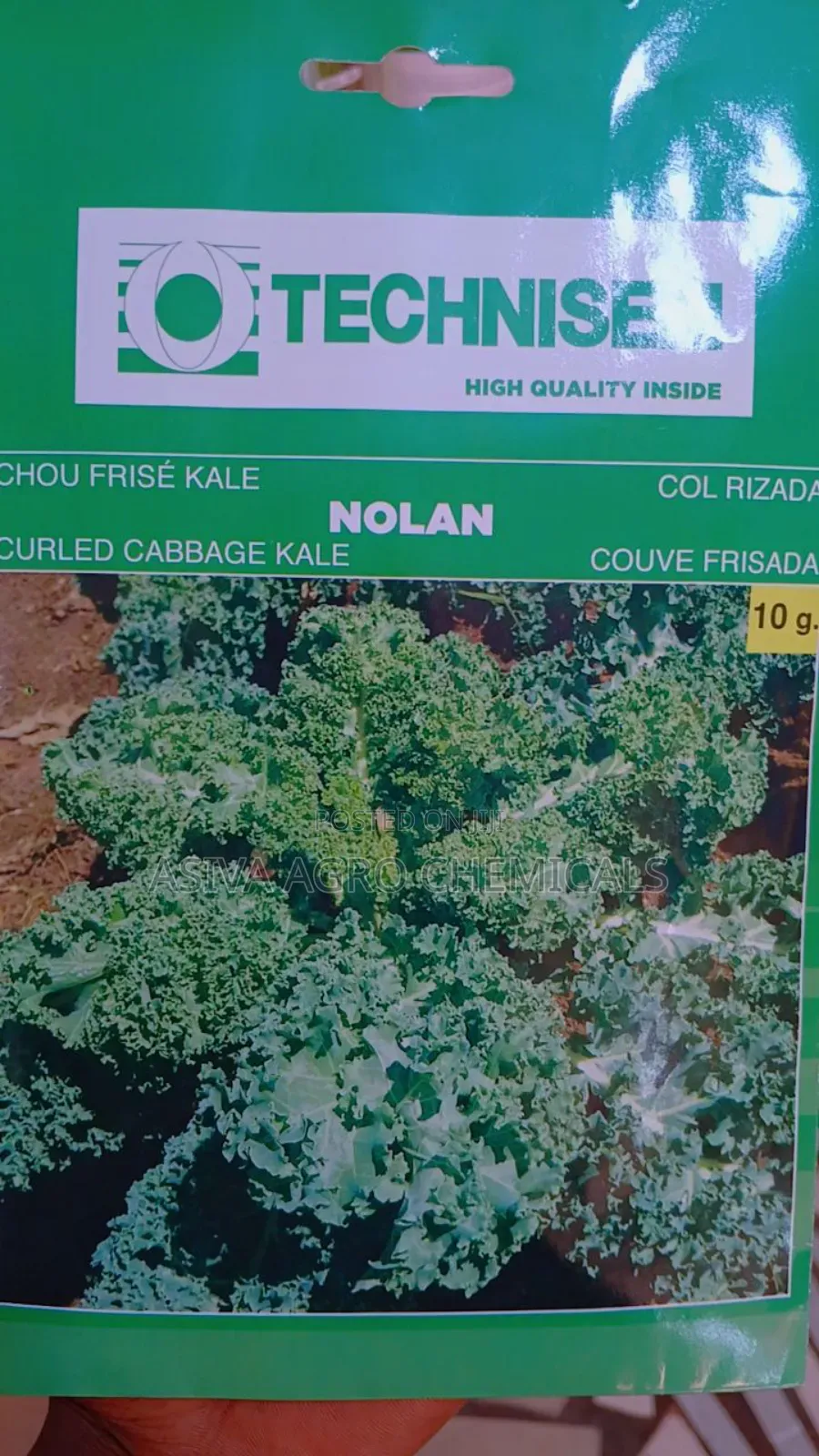 Kale Seeds