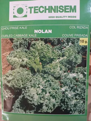 Kale Seeds