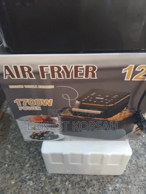 12 Litres Roasts Whole Chicken Air Fryer