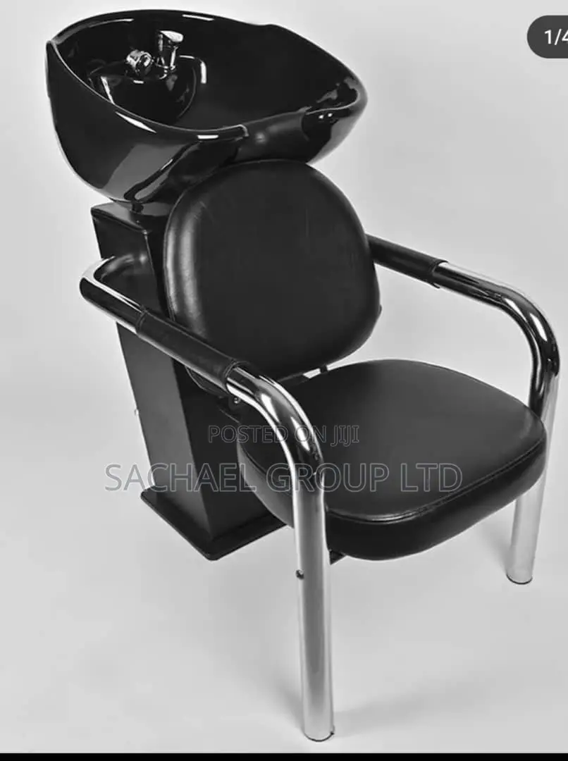 Salon Hair Washer