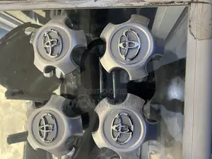 Toyota RAV4 Wheel Cup Covers