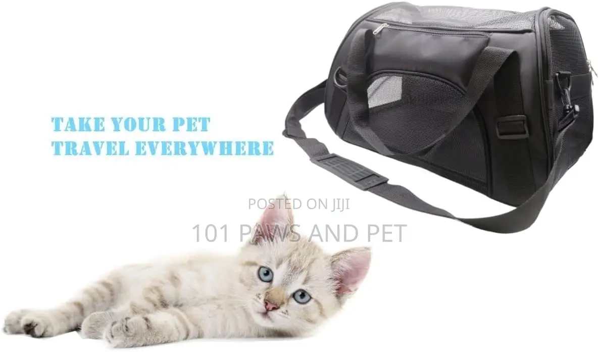 Pet Bag Available