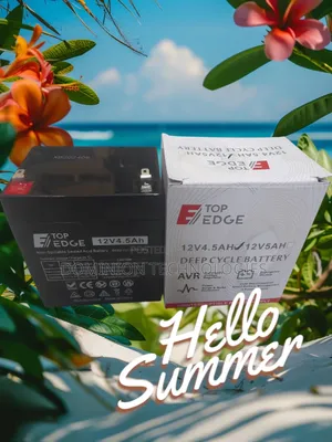 Top Edge 12V 4.5ah UPS Battery