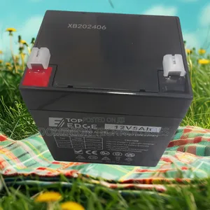 Top Edge 12v 5ah Ups Battery