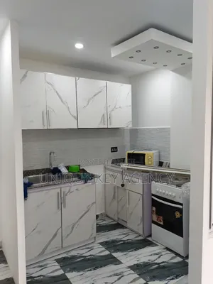 2bdrm Apartment in Unique Key Agency, Dzorwulu for rent
