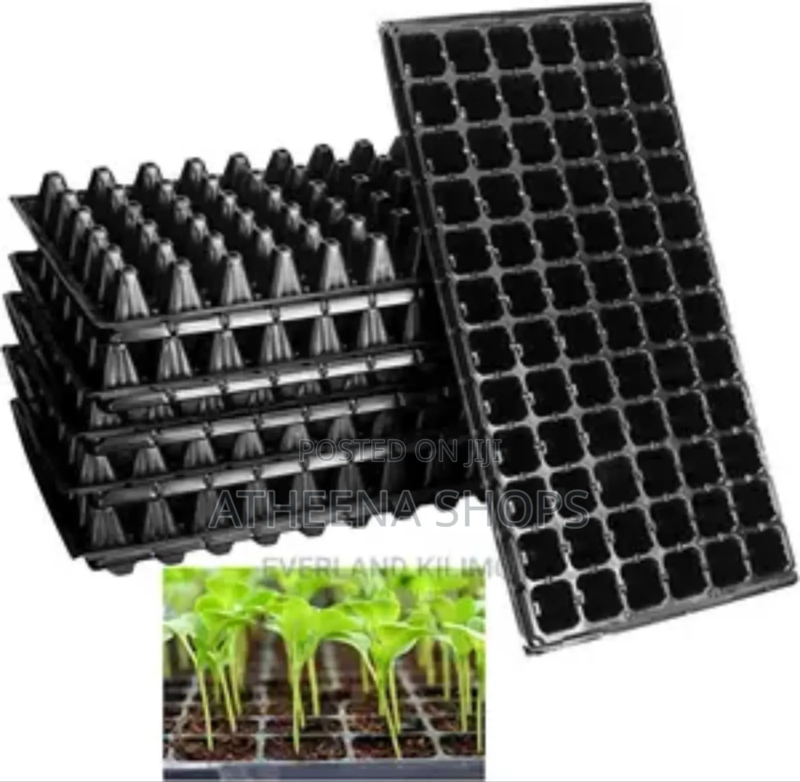 Seed Nursing Tray. Wholesale... 72 Cells And 128 Cells)