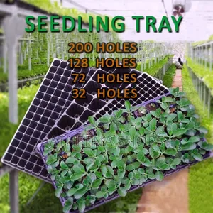 Seed Nursing Tray Good Quality
