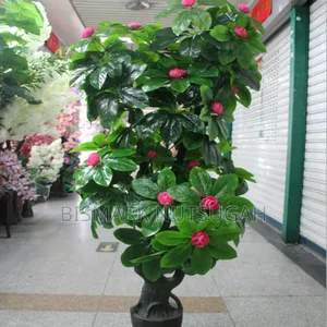 Plant For Sale