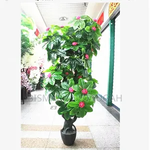 Plant For Sale