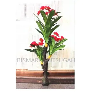 Plant For Sale