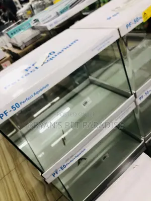 Aquarium Tanks