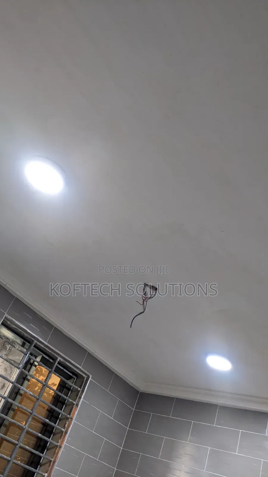 Professional Electrical Services
