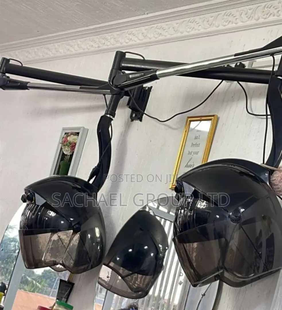 Wall Mounted Hair Dryer
