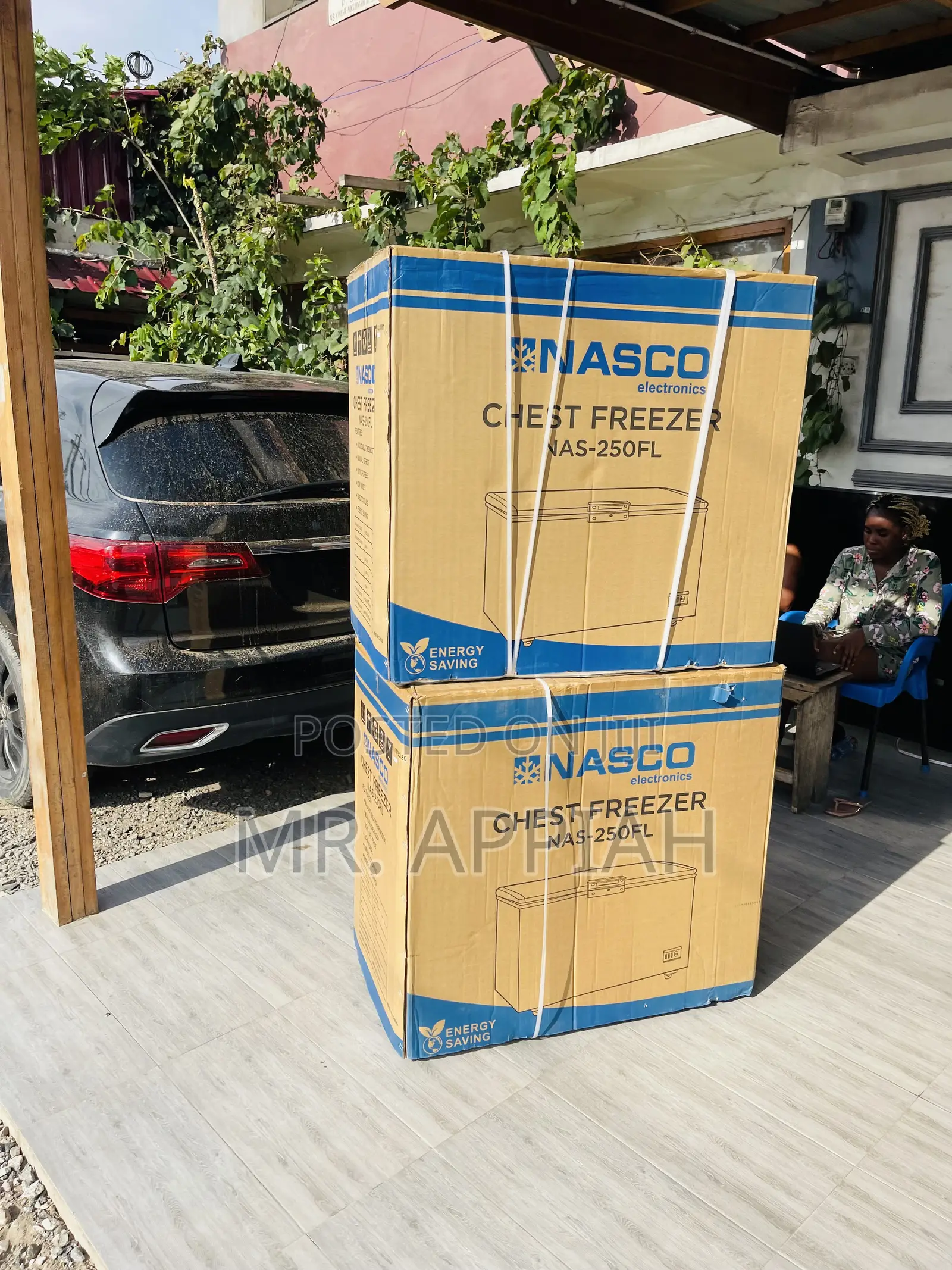 Quality Nasco Nas-250fl 1 Door Electric Freezer(Silver)