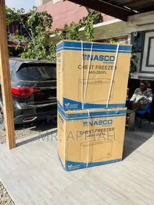 Quality Nasco Nas-250fl 1 Door Electric Freezer(Silver)