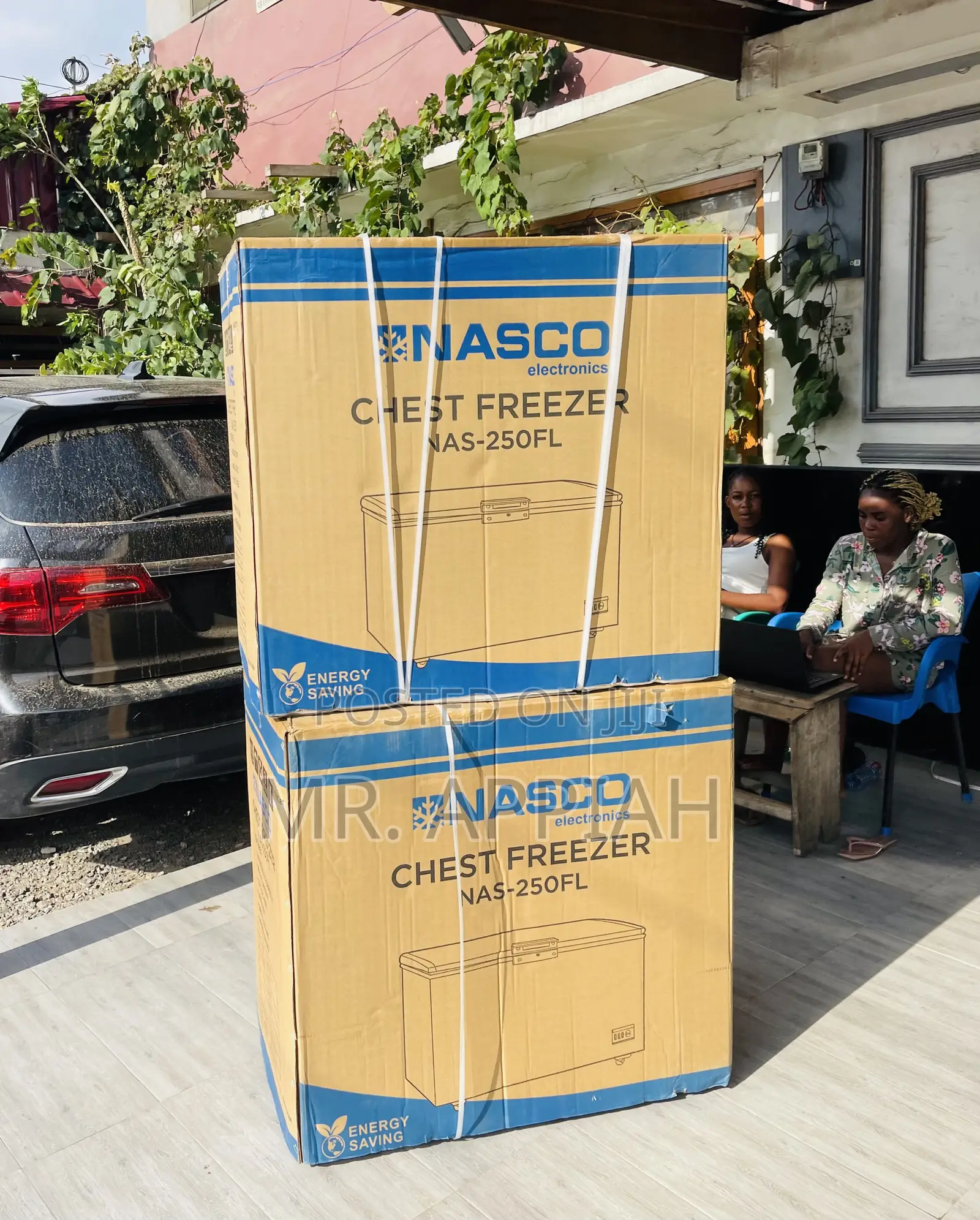 Well Design Nasco Nas-250fl 1 Door Electric Freezer,Silver