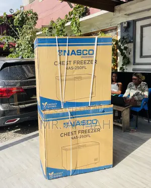 Well Design Nasco Nas-250fl 1 Door Electric Freezer,Silver