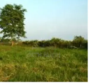 A Plot of Land for Sale