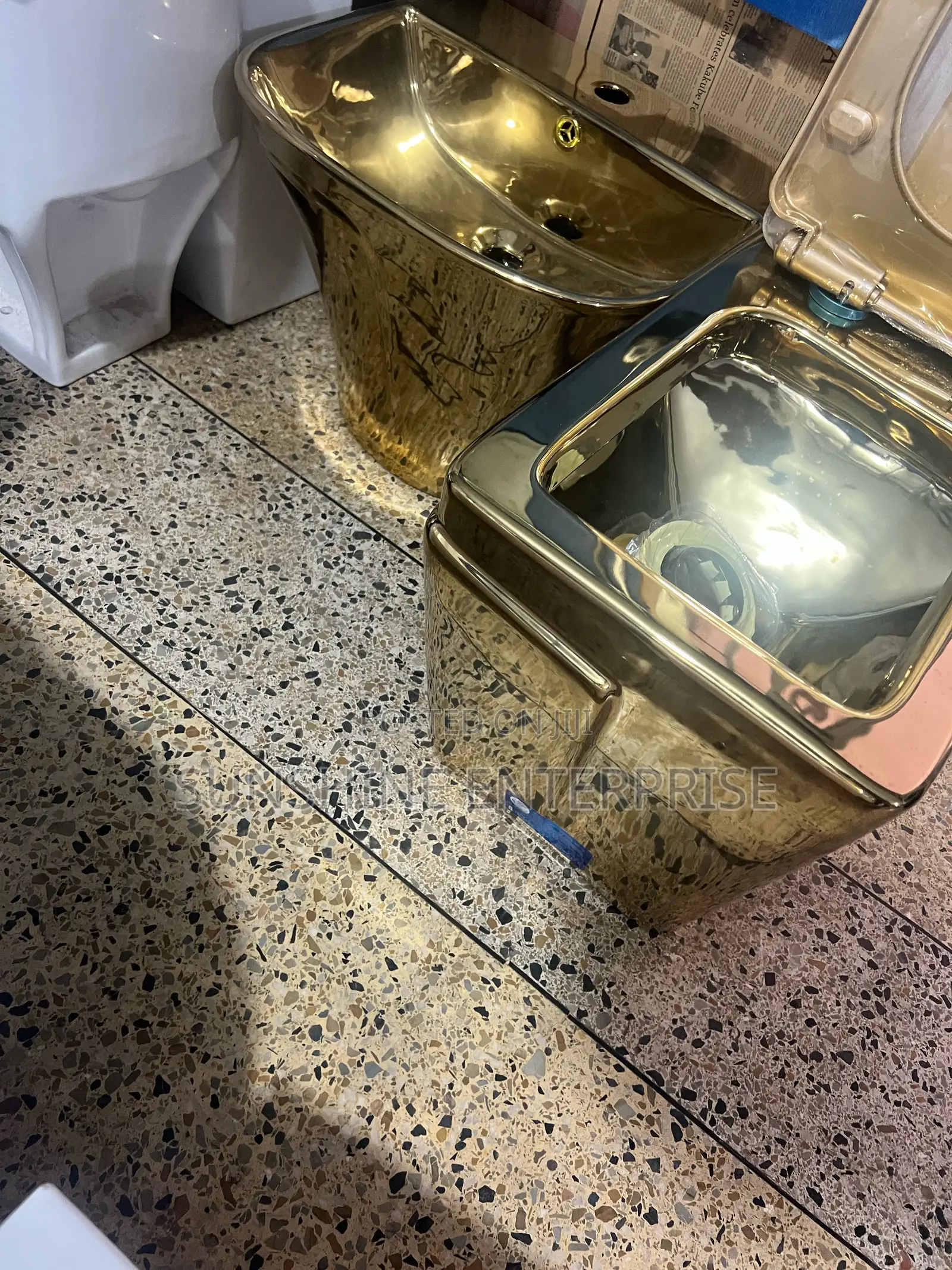 Gold Water Closet With Basin