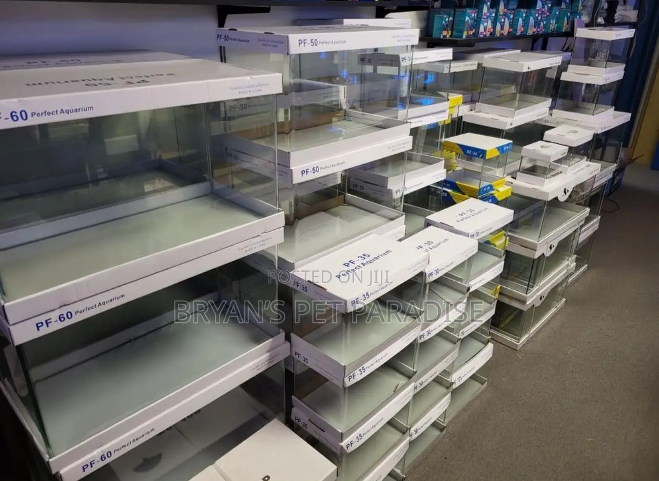 Aquarium Tanks