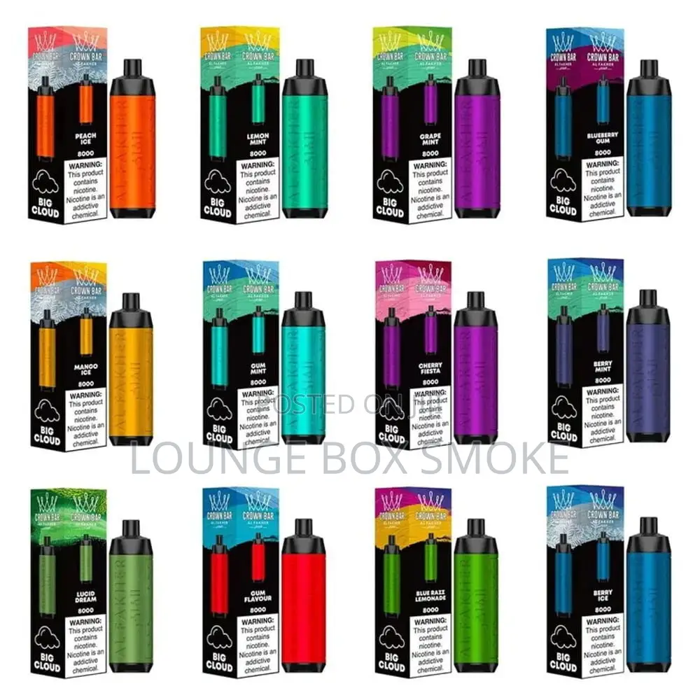Disposable Vape(8000 Puffs)