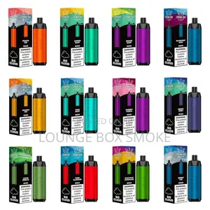 Disposable Vape(8000 Puffs)