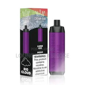 Disposable Vape(8000 Puffs)