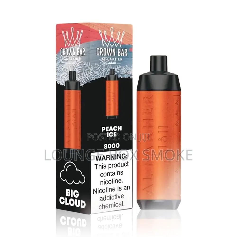 Disposable Vape(8000 Puffs)