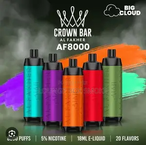 Disposable Vape(8000 Puffs)
