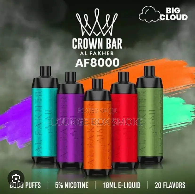Disposable Vape(8000 Puffs)