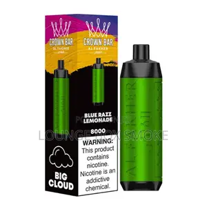 Disposable Vape(8000 Puffs)