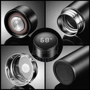 LED Temperature Indicating Water Bottle