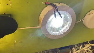 30watts LED Cob Lights