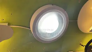 30watts LED Cob Lights
