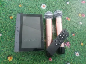 Smart Wall Amplifier With Microphone