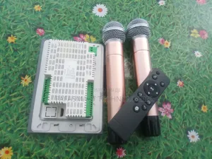 Smart Wall Amplifier With Microphone