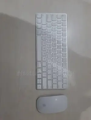 Apple Keyboard and Mouse