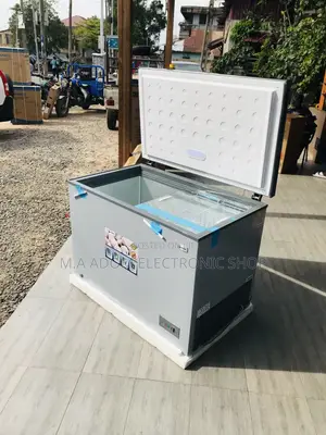 Order Quality Pearl PCF 380, 316L 1 Door Electric Freezer.