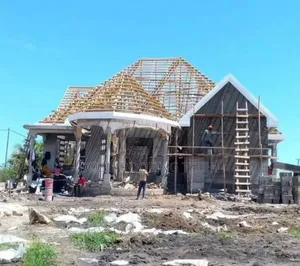 Single Roofing Sheet and Insulation