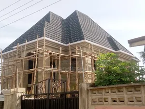 Single Roofing Sheet and Insulation