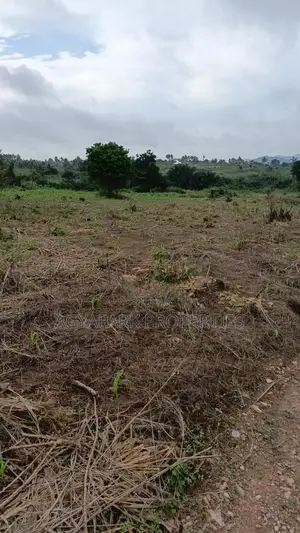 Archers of Land for Sale at Obom