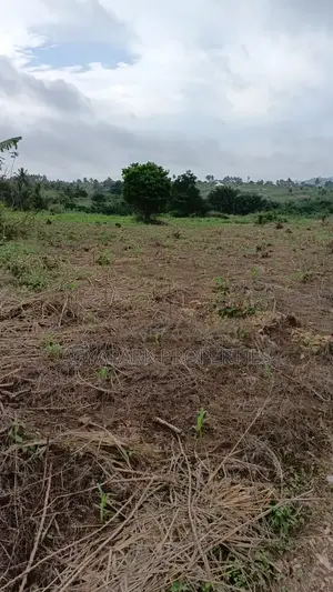 Archers of Land for Sale at Obom