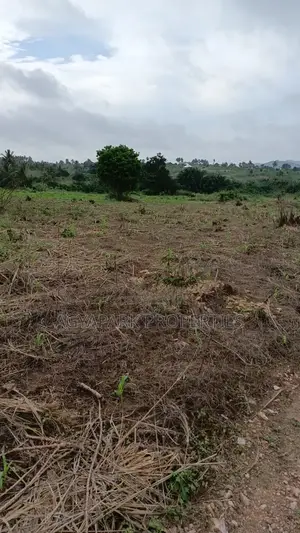 Archers of Land for Sale at Obom